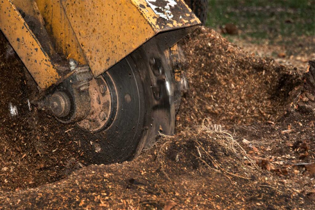 Stump Grinding