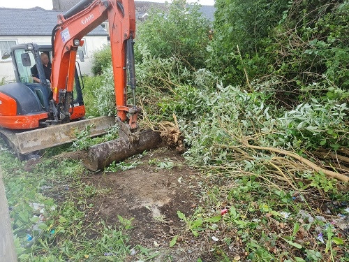 Site Clearance and Chipping